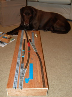 Tracks laid out
